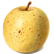 imageedit_20_9184260796