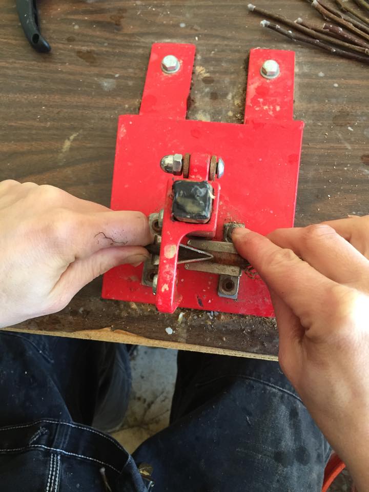 12596221_10154034586042520_772136871_n