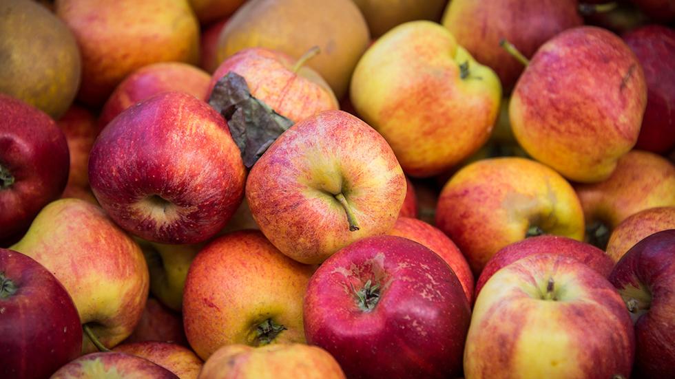 marred-apples-market