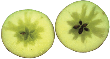 430-120176image20water20core20120correct