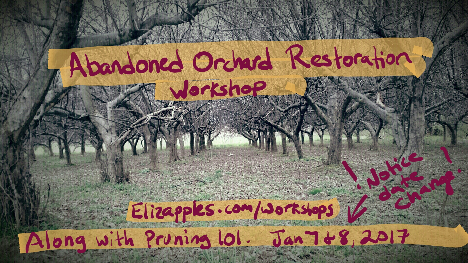 screenshot_2016-12-07-06-56-32-1