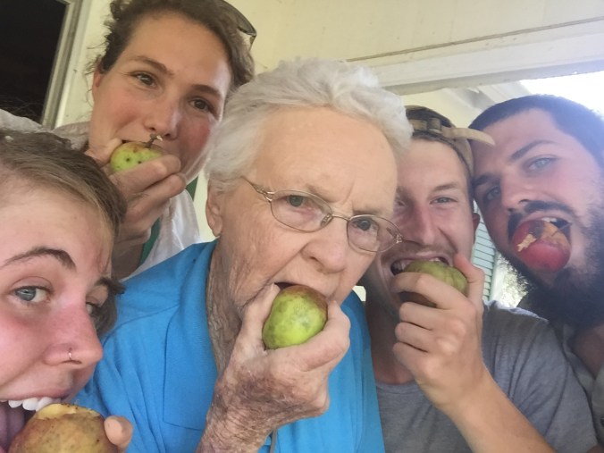 13147726_1550520868576345_7130405019780292766_o