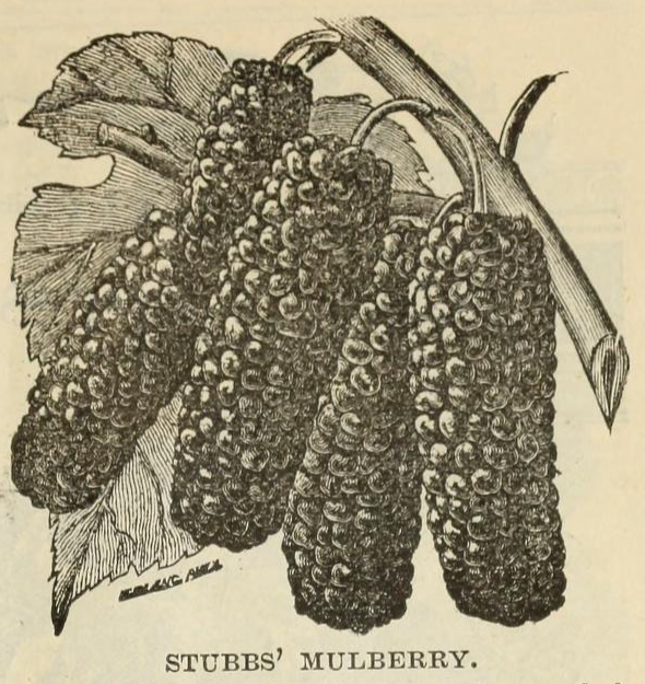 28383382_2117134831847820_1001806005_n