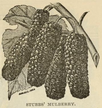 28383382_2117134831847820_1001806005_n