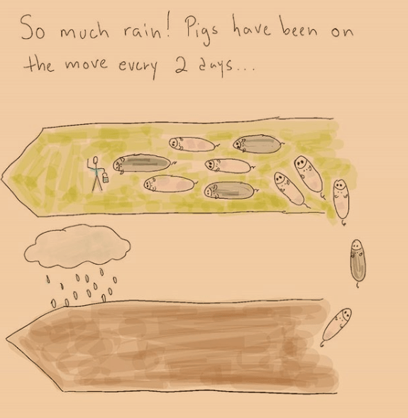 Screen Shot 2018-09-23 at 5.25.14 PM